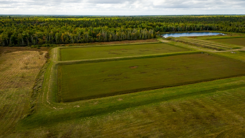 O.J. Farm Ltd Image 2