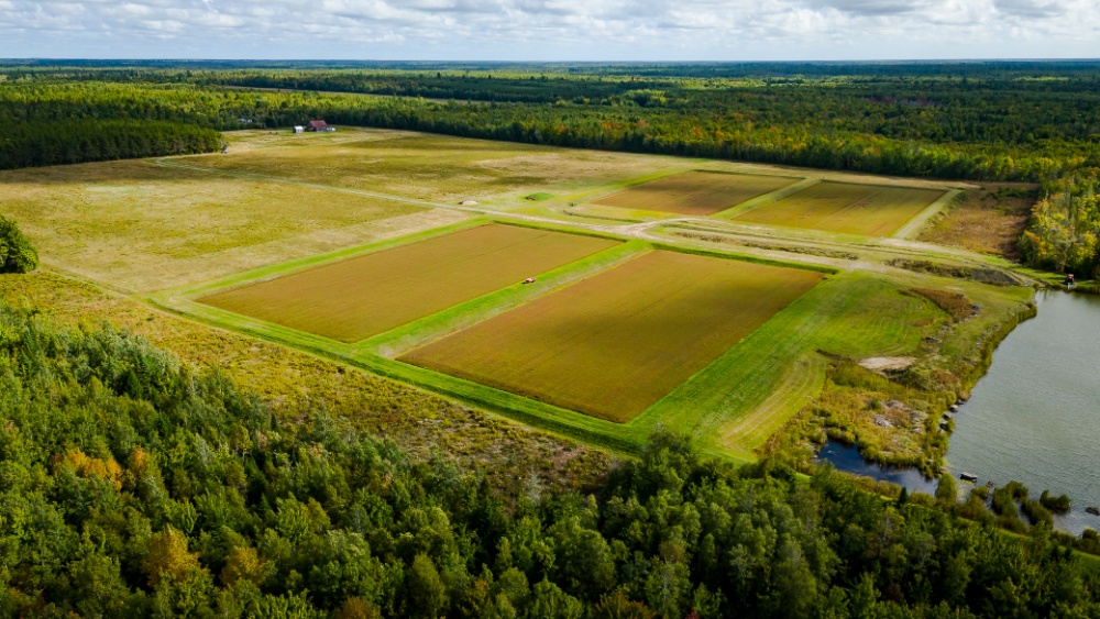 O.J. Farm Ltd Image 3