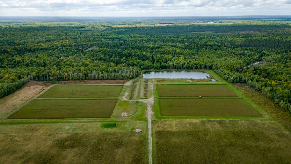 O.J. Farm Ltd Image 6