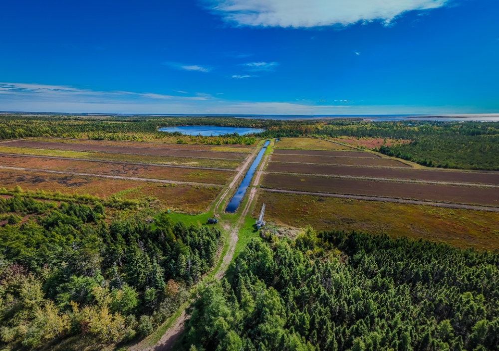 Atocatière Chiasson Ltée / Chiasson Cranberries Ltd Image 4