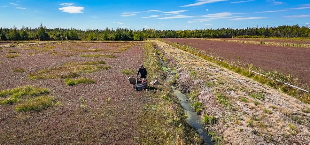 Atocatière Chiasson Ltée / Chiasson Cranberries Ltd Image 5