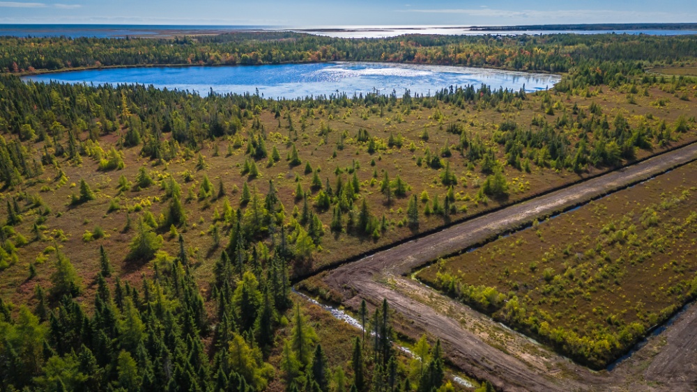 Atocatière Chiasson Ltée / Chiasson Cranberries Ltd Image 2