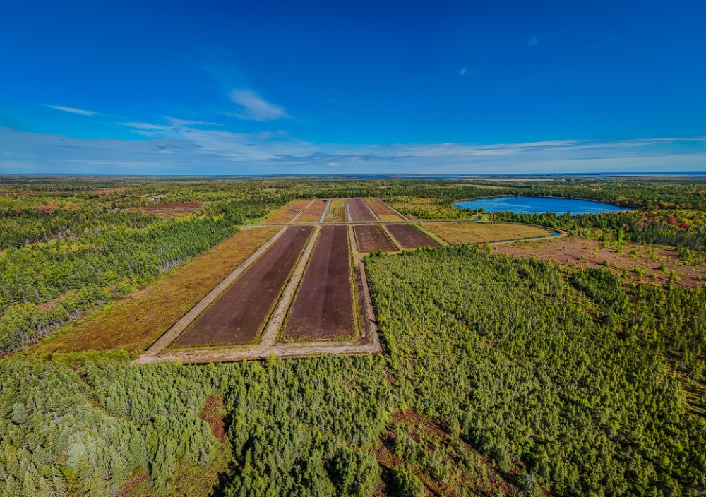 Atocatière Chiasson Ltée / Chiasson Cranberries Ltd Image 1