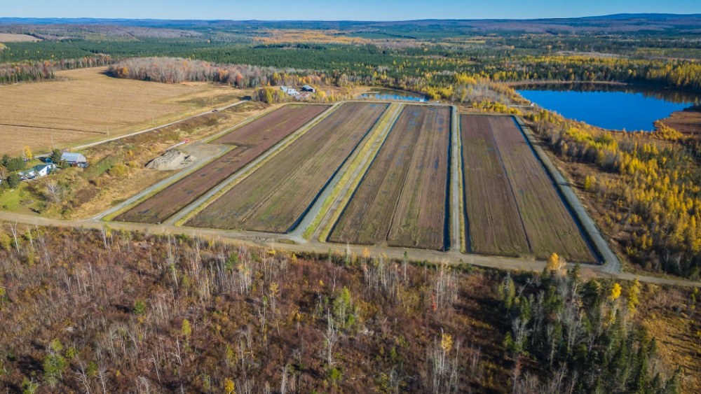 B.M.G. Farming Inc Image 2