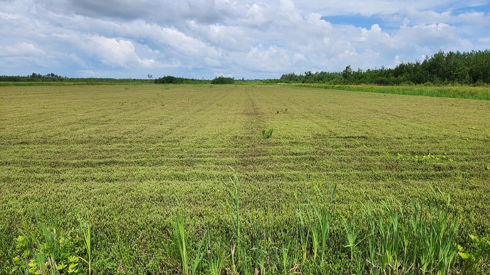 Canneberges de l'Est Cranberries Inc. – Miramichi Image 1