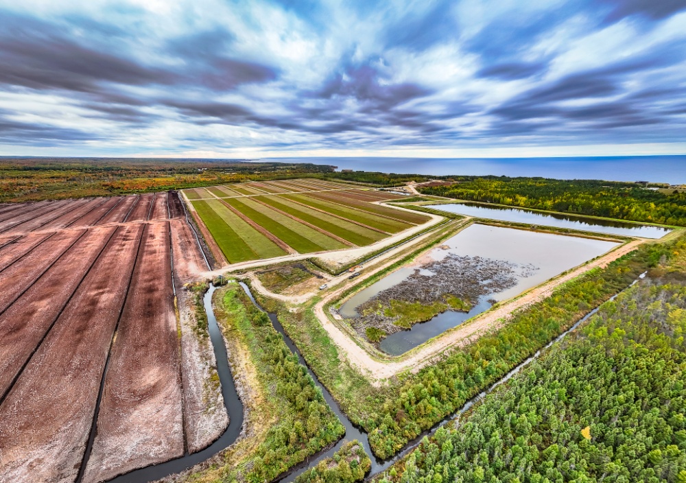 Canwick Corporation Image 1
