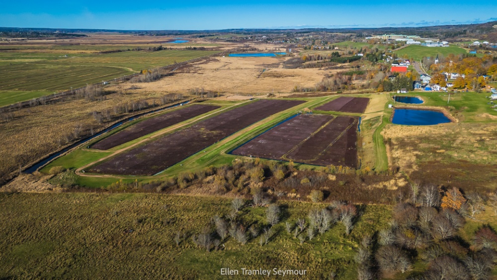 Coastal Cranberries Ltd Image 1