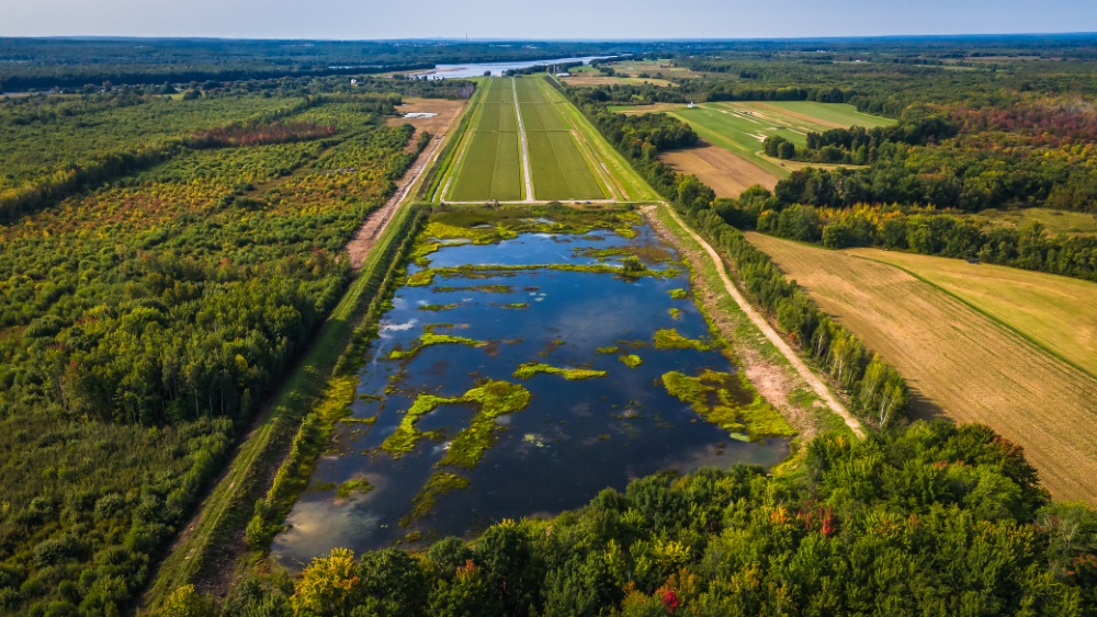 Cranberry Fields Ltd. Image 6