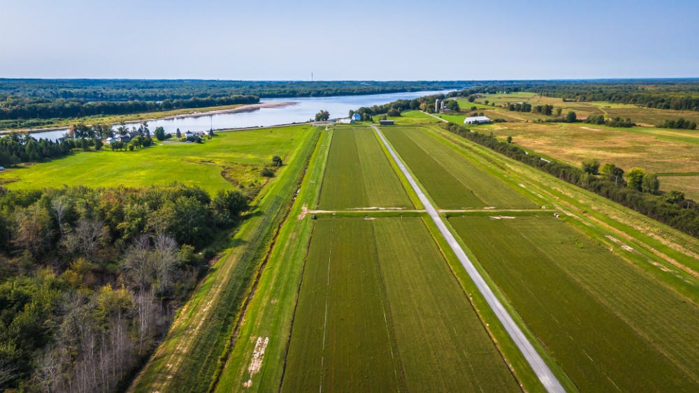 Cranberry Fields Ltd. Image 3