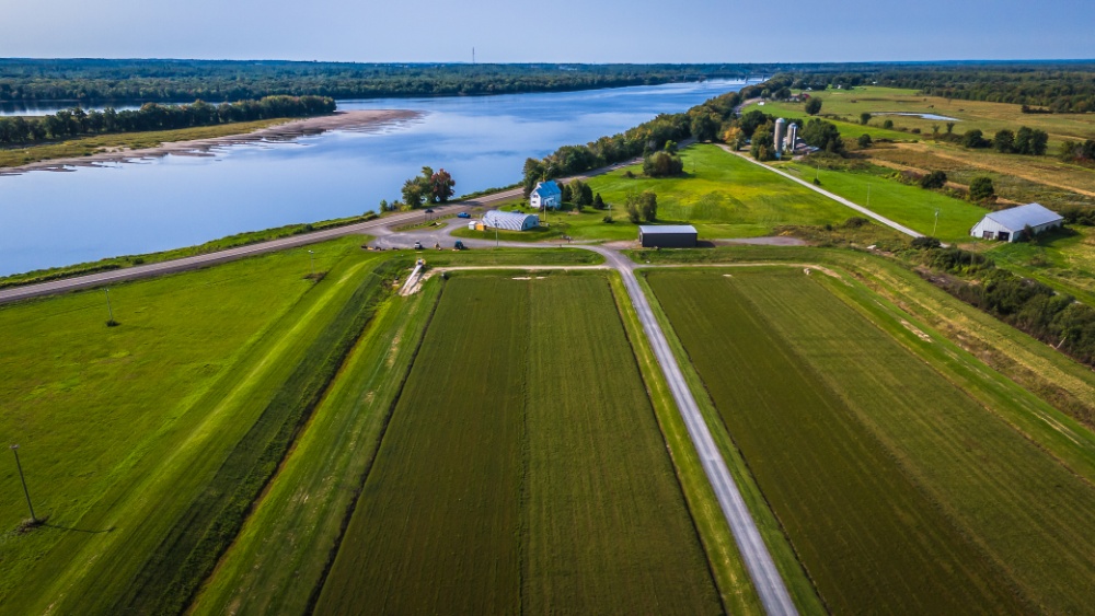 Cranberry Fields Ltd. Image 2