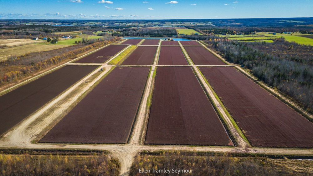 Ferme Cannebelo Farm Image 2
