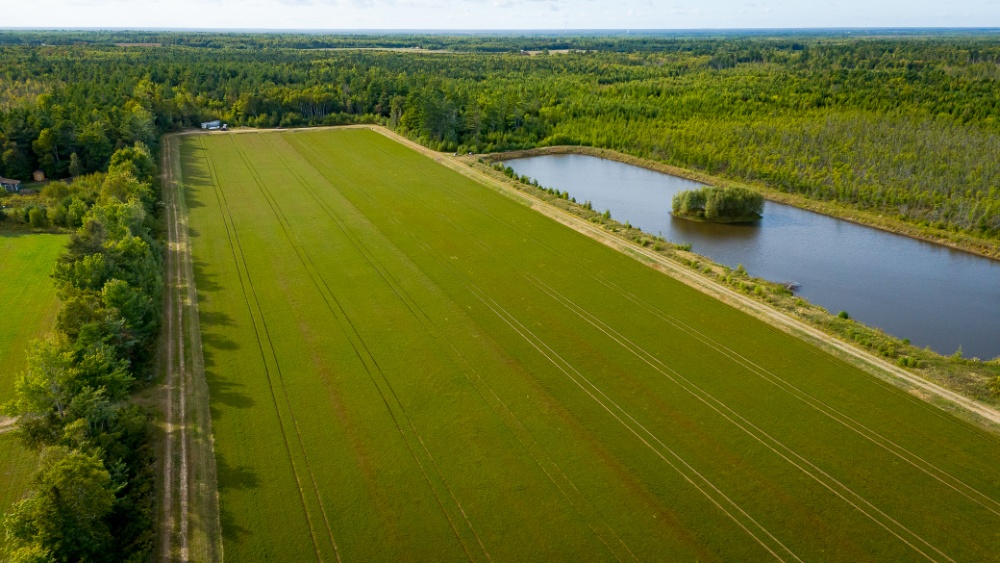 Les Jardins de la Prairie Image 3