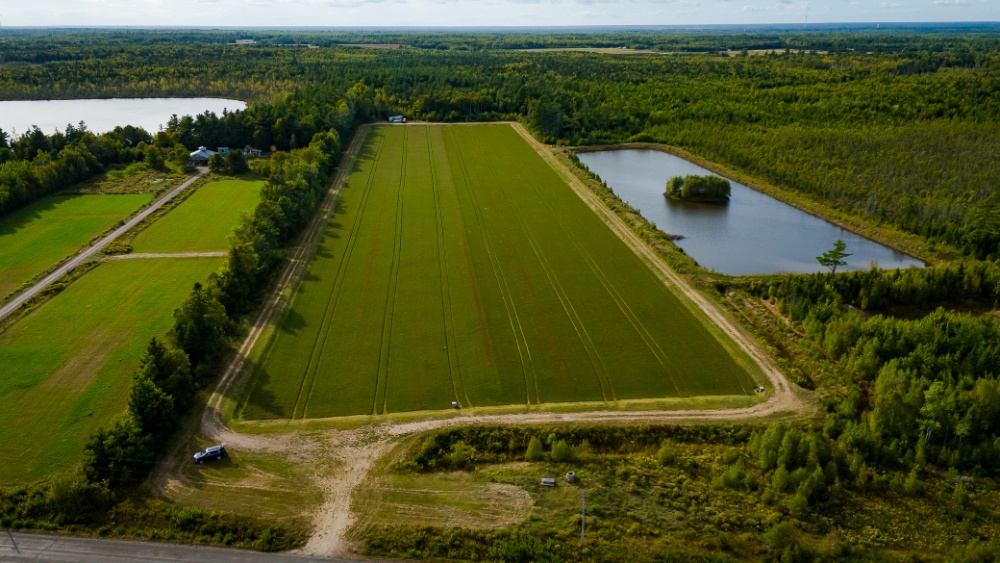 Les Jardins de la Prairie Image 1