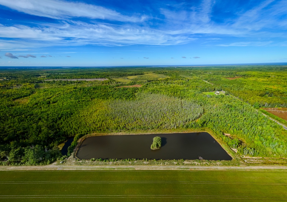 Les Jardins de la Prairie Image 5