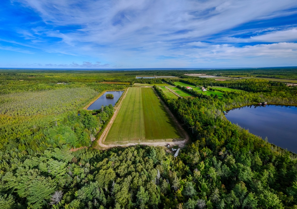 Les Jardins de la Prairie Image 1