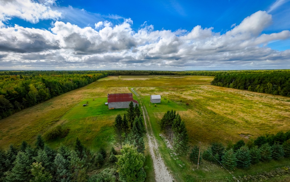 O.J. Farm Ltd Image 1