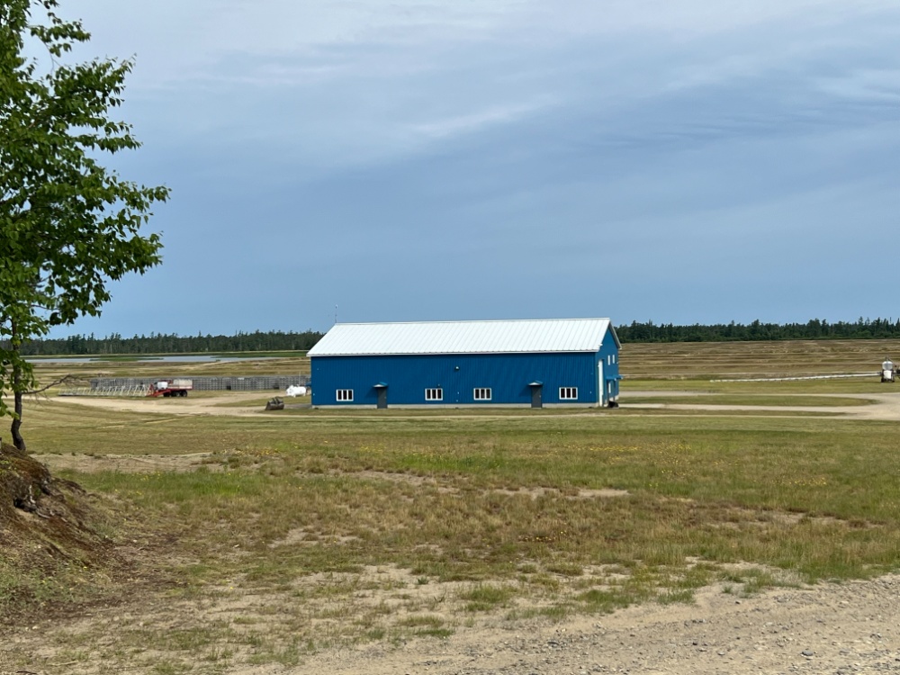 Pleasant Ridge Cranberries Image 2