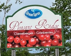 Pleasant Ridge Cranberries Image 1