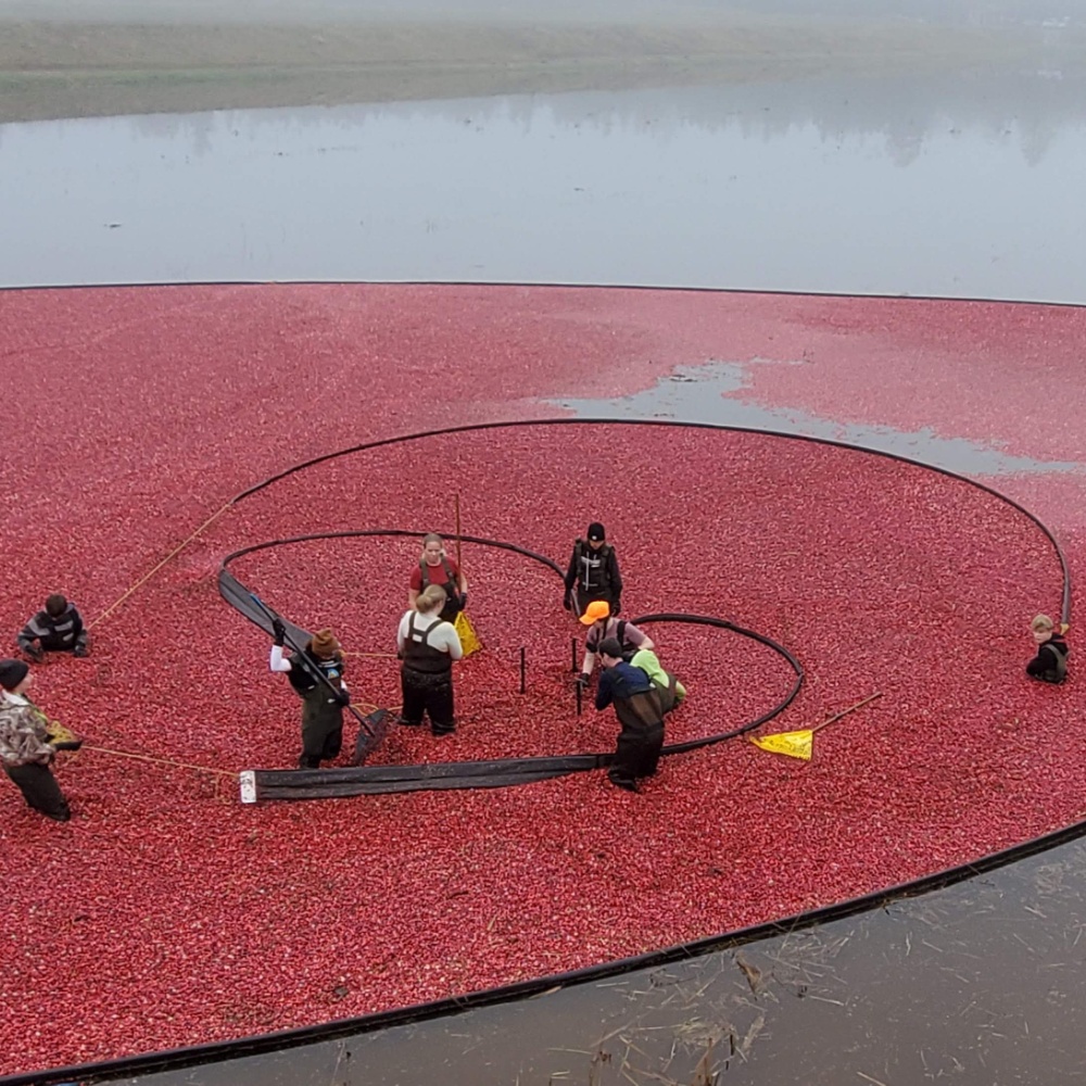 Springbrook Cranberry Inc. Image 2