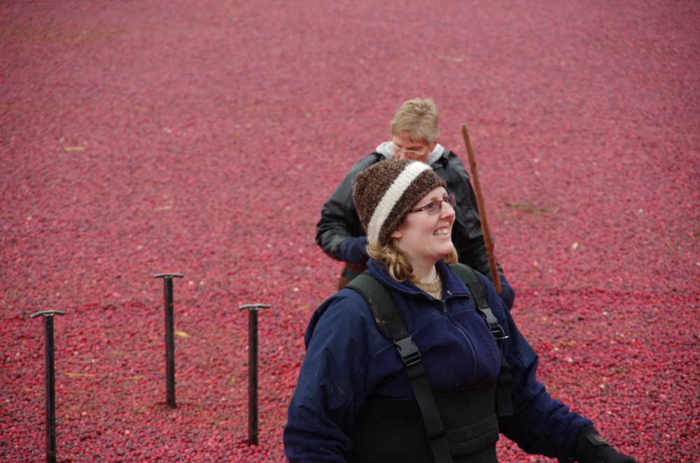 Springbrook Cranberry Inc. Image 4