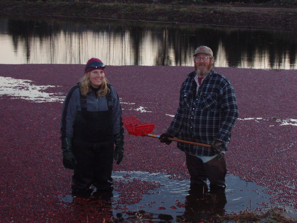 Springbrook Cranberry Inc. Image 6