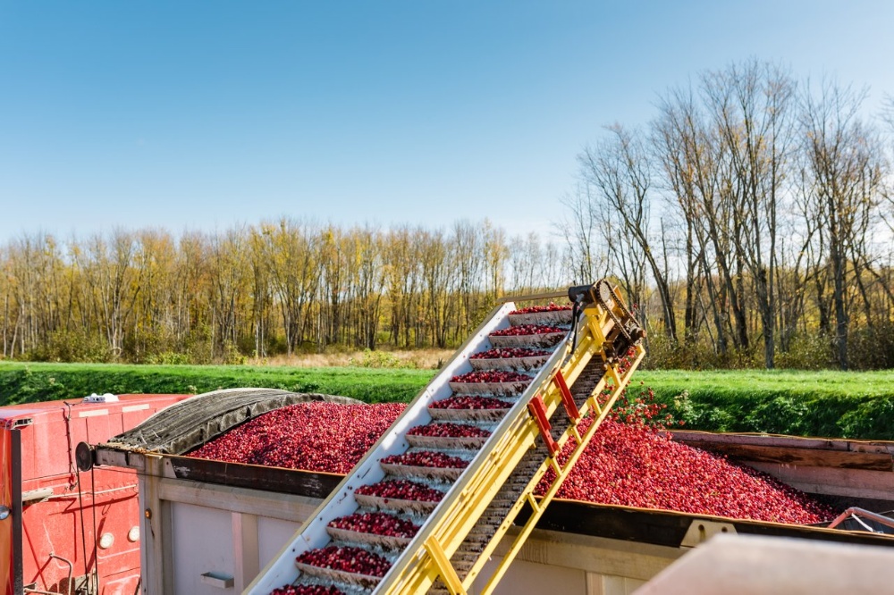 Sunberry Cranberry Producers Image 5