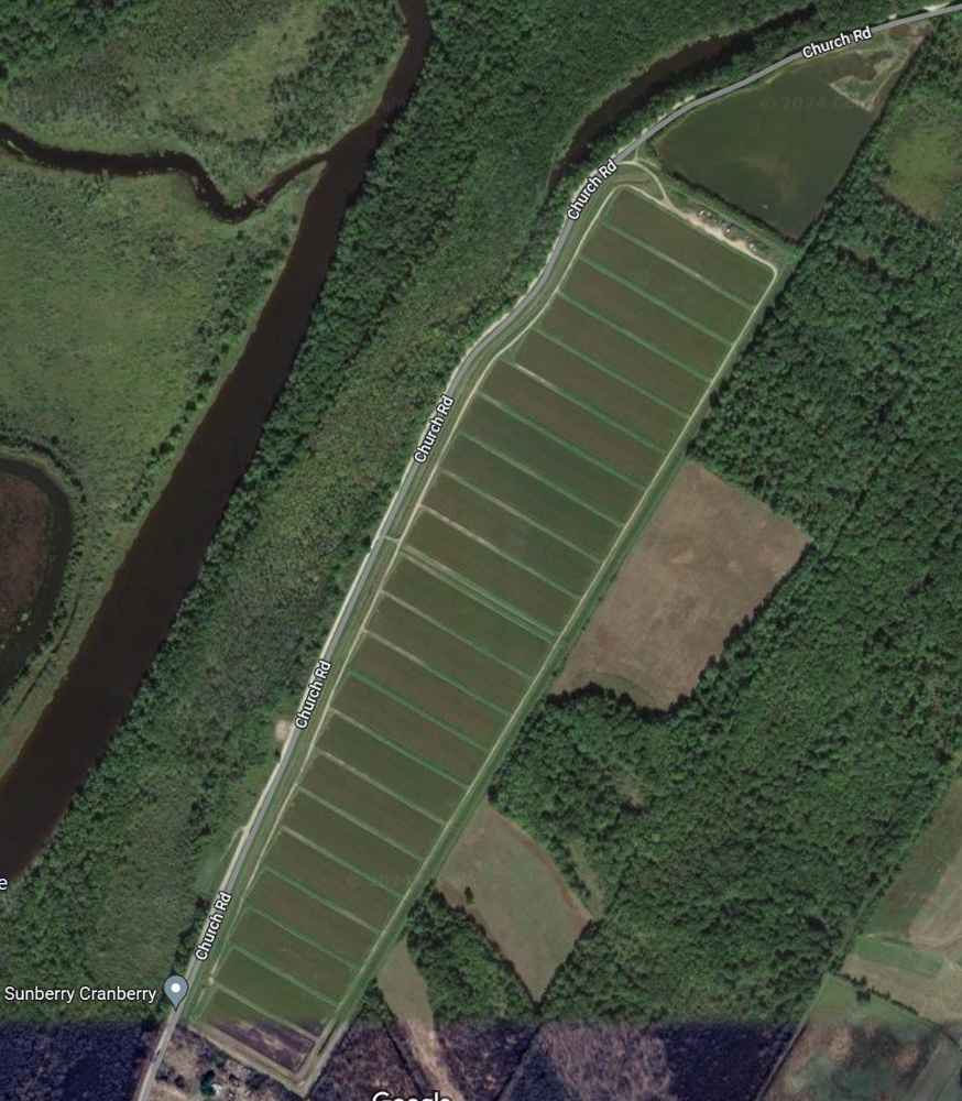 Sunberry Cranberry Producers Image 2