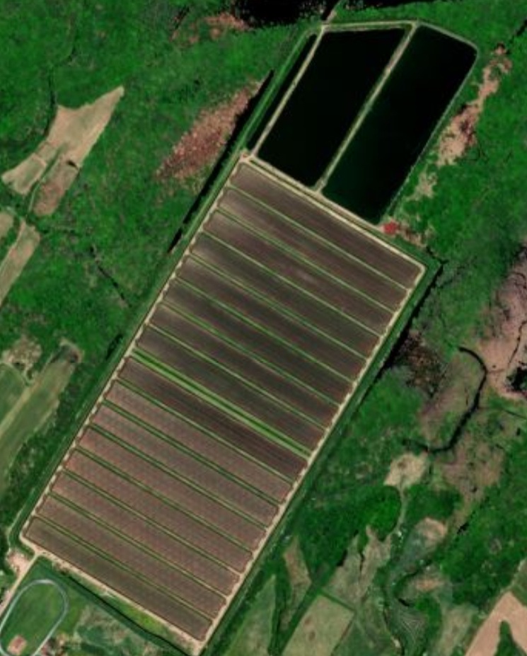 Sunberry Cranberry Producers Image 1